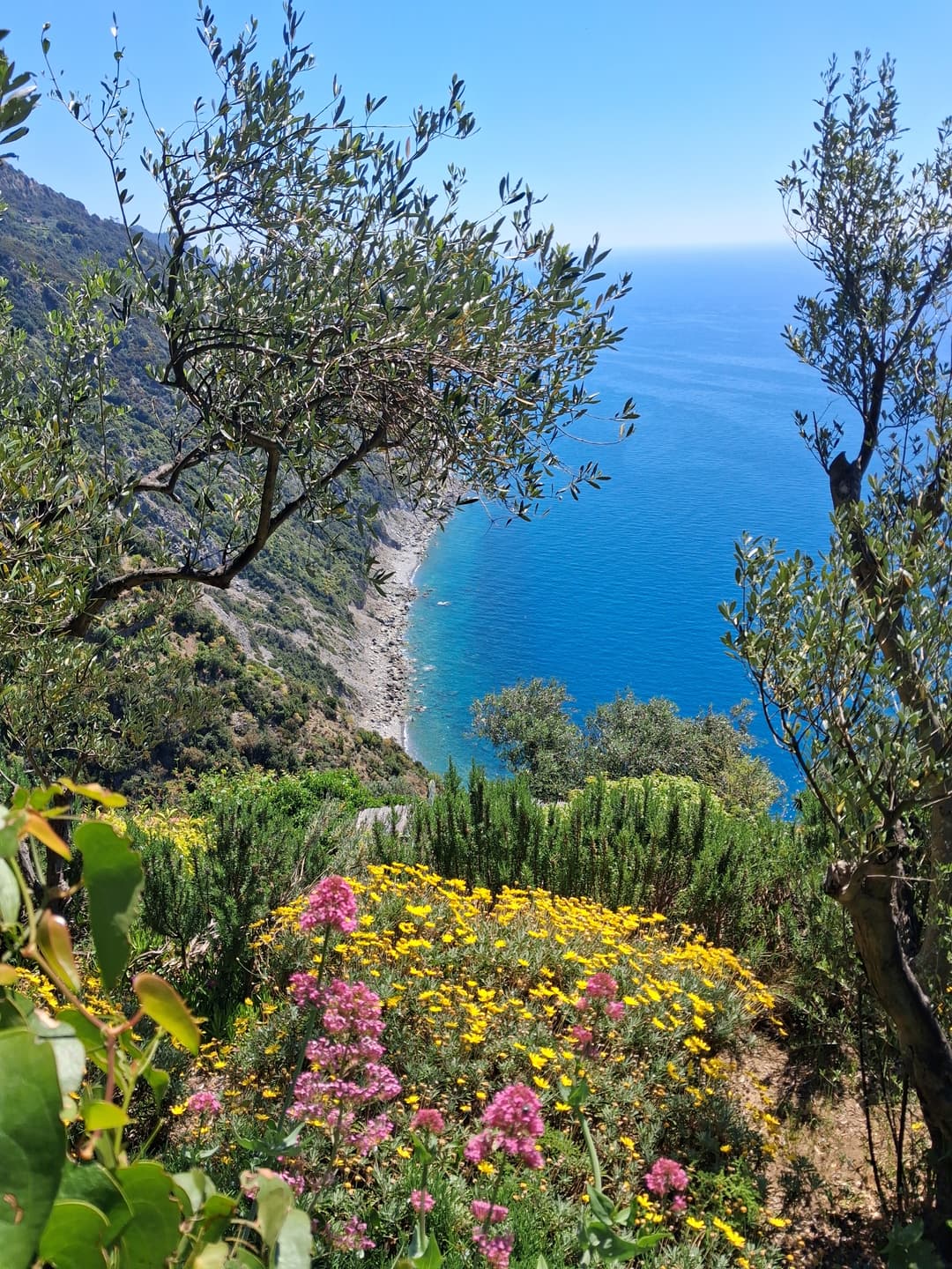 Framura - Punta Apicchi - Deiva Marina